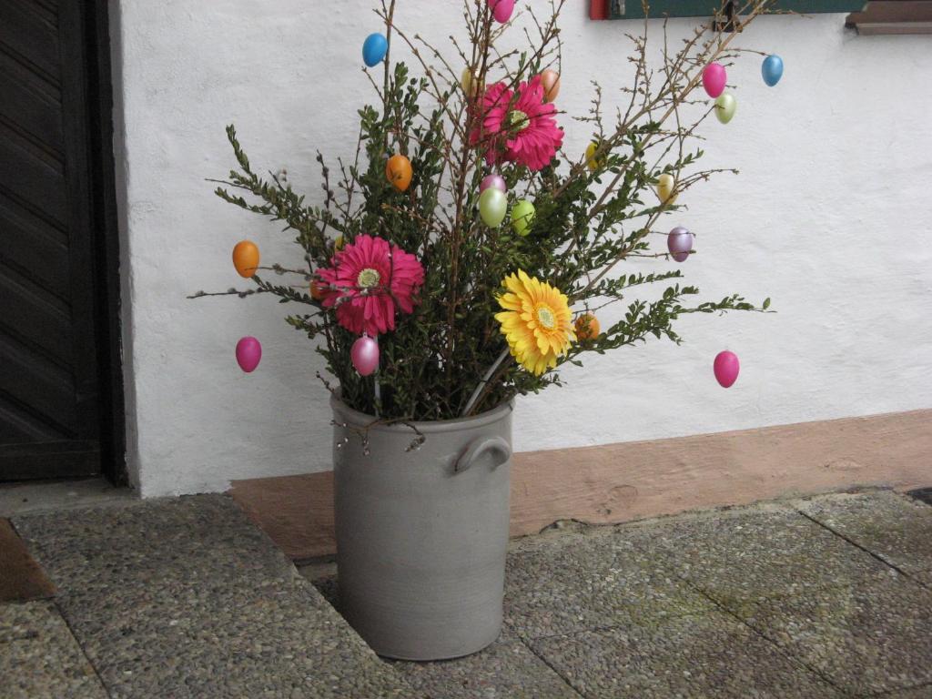 Apartamento Haus Alpenrose Schwangau Exterior foto