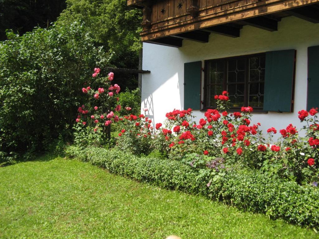 Apartamento Haus Alpenrose Schwangau Exterior foto